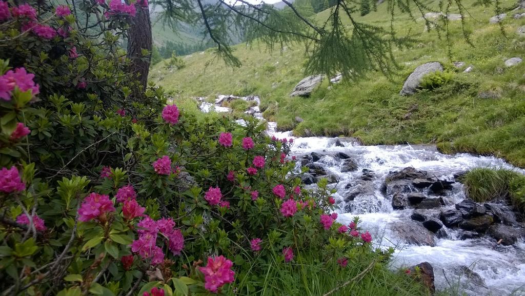 Albergo Eden Passo del Tonale Luaran gambar