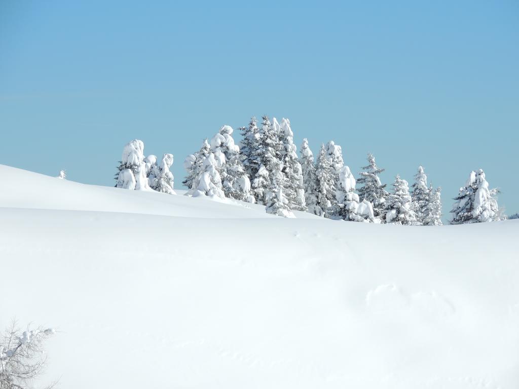 Albergo Eden Passo del Tonale Luaran gambar